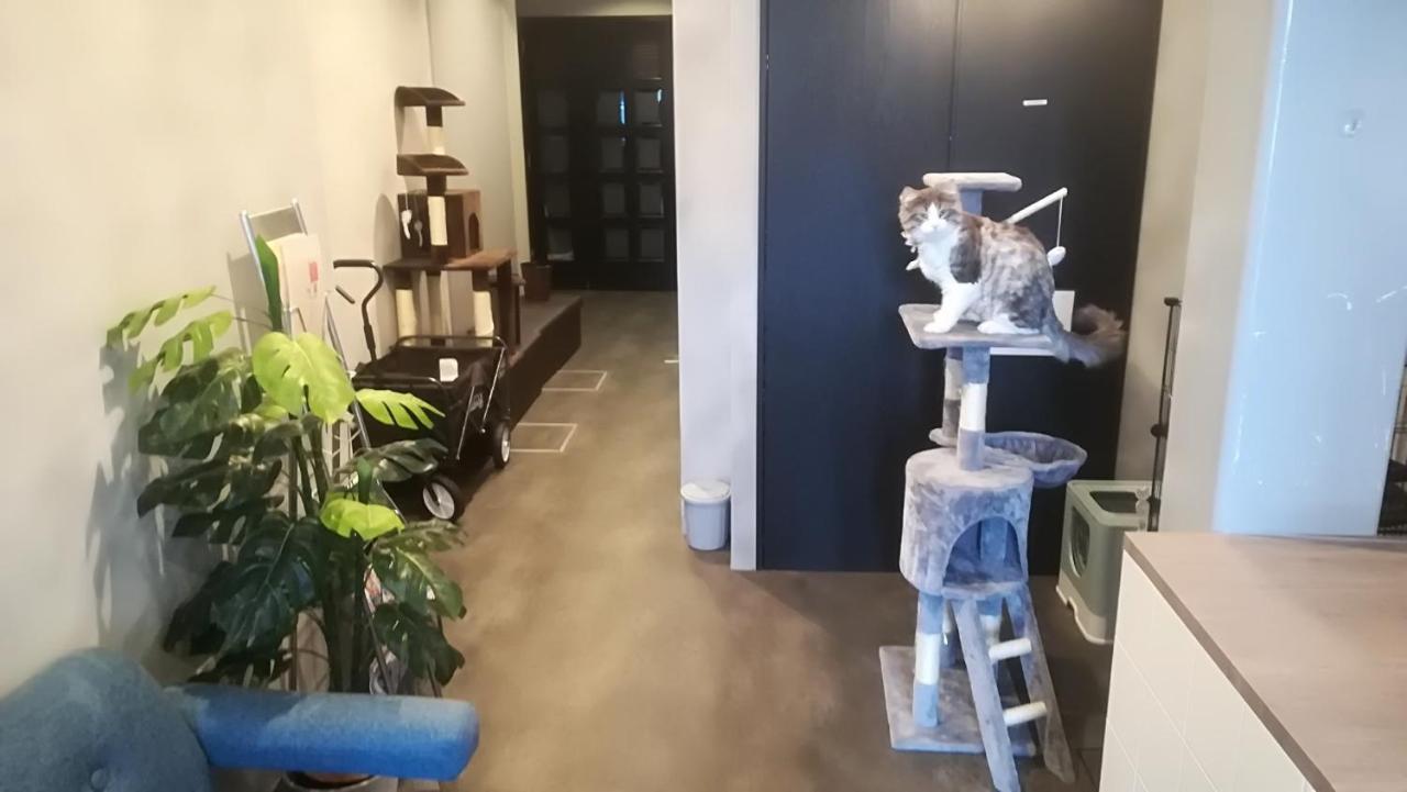 Cote Sakuragawa "Room 201,301,401" - Vacation Stay 03144V Osaka Ngoại thất bức ảnh